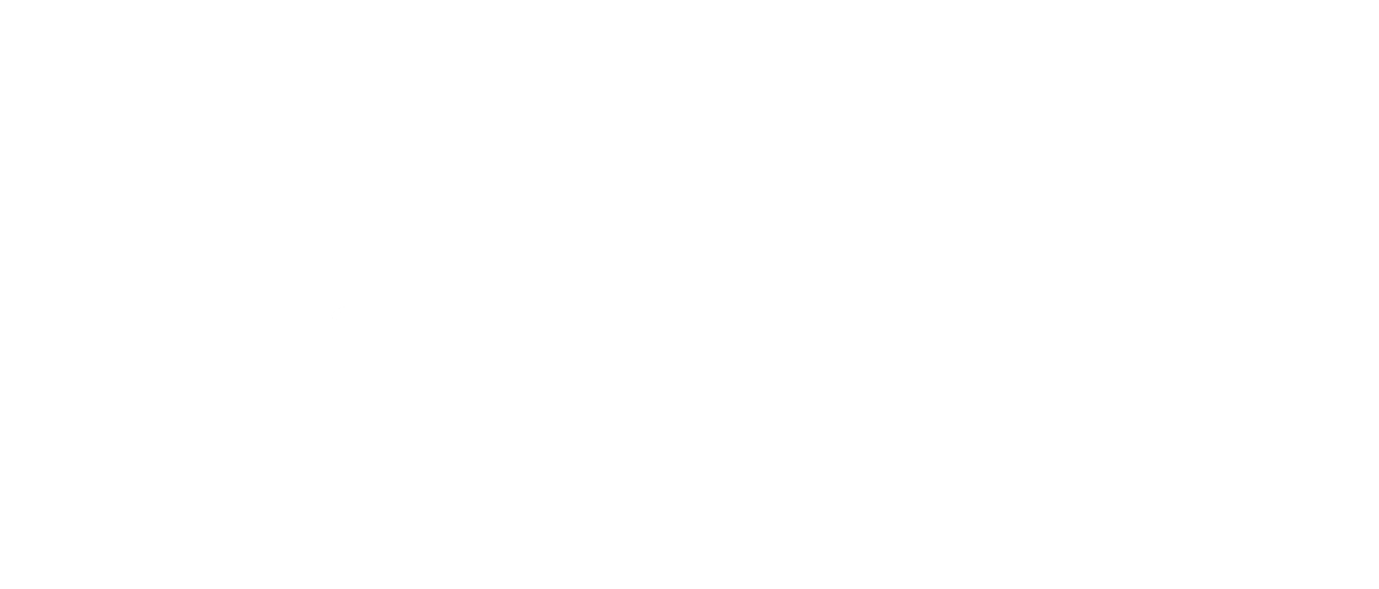 BOTW logo
